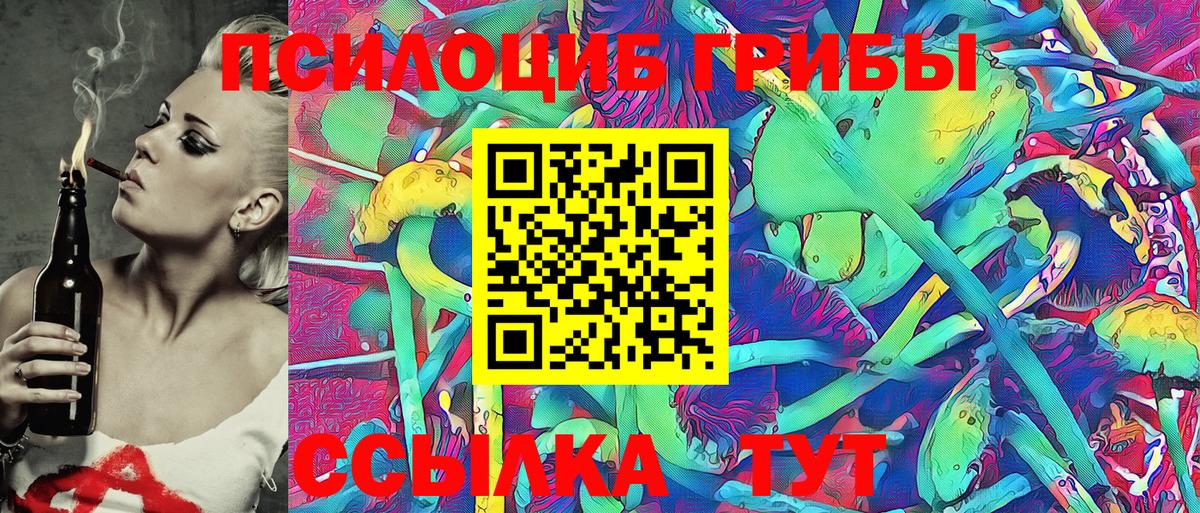 Дубна  Галлюциногенные грибы Psilocybe  Вход с VPN 